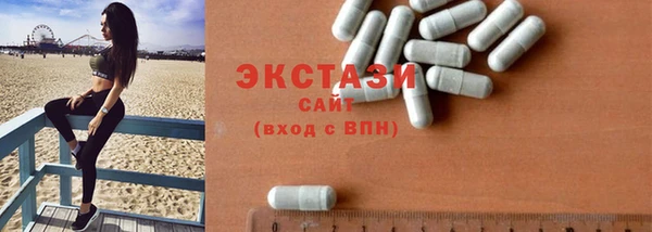 ECSTASY Богданович